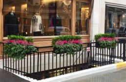 Photograph of vibrant winter plant maintenance for three troughs outside of a storefront in Savile Row, London, with pink Heather, hot pink Cyclamen and trailing ivy. Mayfair; Luxury London; Soho Florist; Contract planting; plant Maintenance; landscaping; Corporate plants